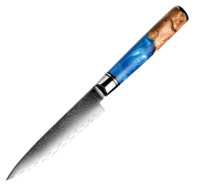 Couteaux de Chef professionnel japonais