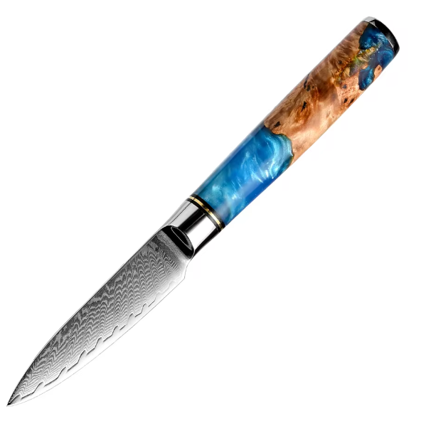 Couteaux de Chef professionnel japonais